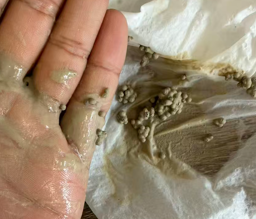 Activated Clay sand desiccant